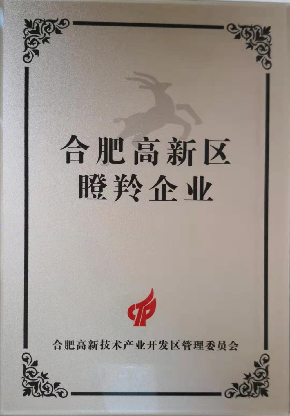 高成长瞪羚企业