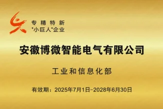 专精特新“小巨人”企业