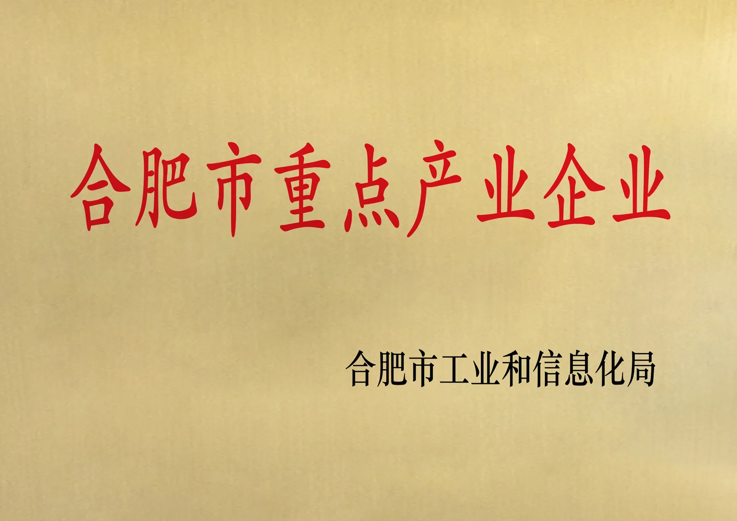 合肥市重点产业企业